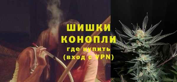 гидра Нея