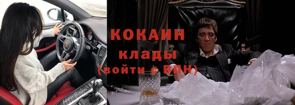 твердый Новозыбков