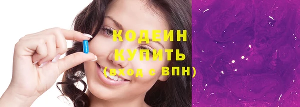 твердый Новозыбков