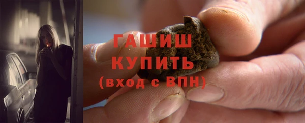 твердый Новозыбков