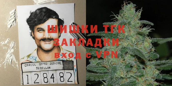 твердый Новозыбков