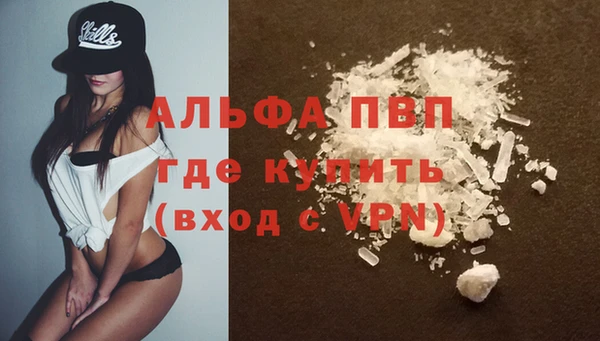 твердый Новозыбков