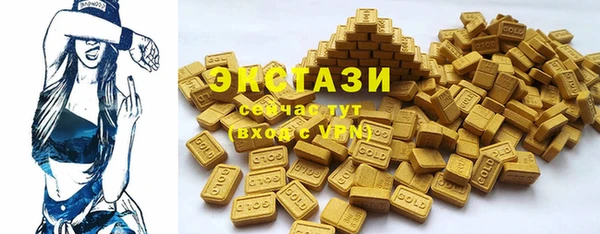твердый Новозыбков